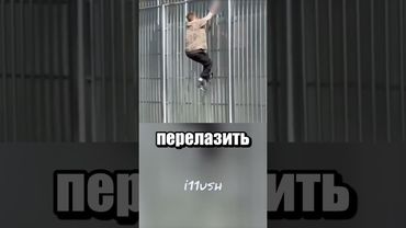 Не тот забор выбрал