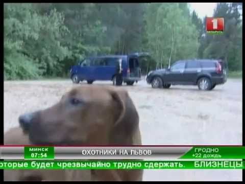 Беларусь 1 Видео с Випушкой.mpg