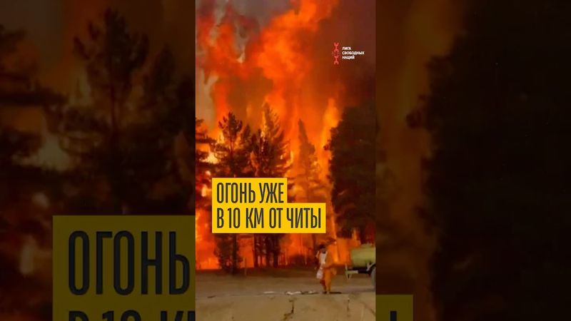 В Забайкалье госслужащих гонят тушить лесные пожары