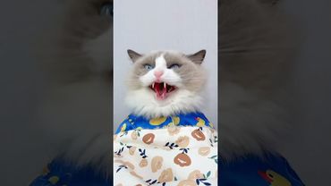 #DreamScreenAI Dive into new realms with Puff 🌌 #Sponsored #ExploreWithPuff