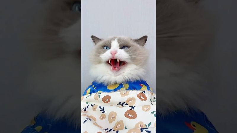 #DreamScreenAI Dive into new realms with Puff 🌌 #Sponsored #ExploreWithPuff