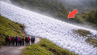 75 Most Incredible Nature Moments Ever Caught on Camera