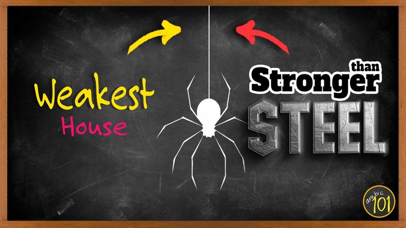 Stronger Than Steel… But Quran Says "the Weakest House?!" | Arabic101