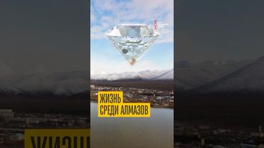 Жизнь вне цивилизации