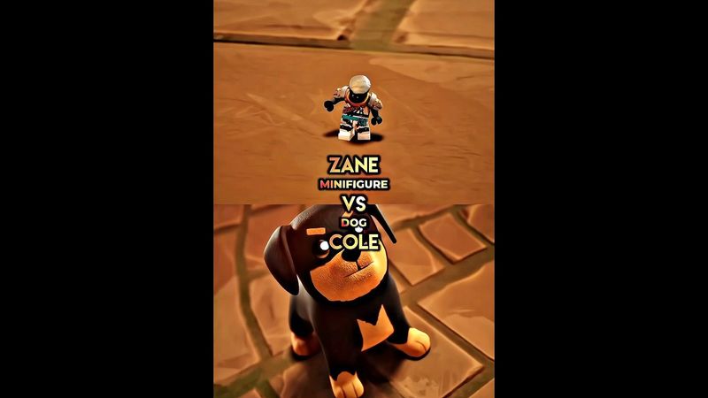 Zane (minifigure) VS Cole (dog)