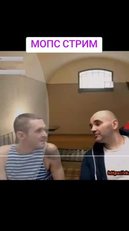 #мопс #мопс #мопсстрим 