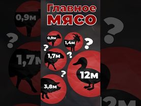 Главное мясо человечества #страны #планета #еда