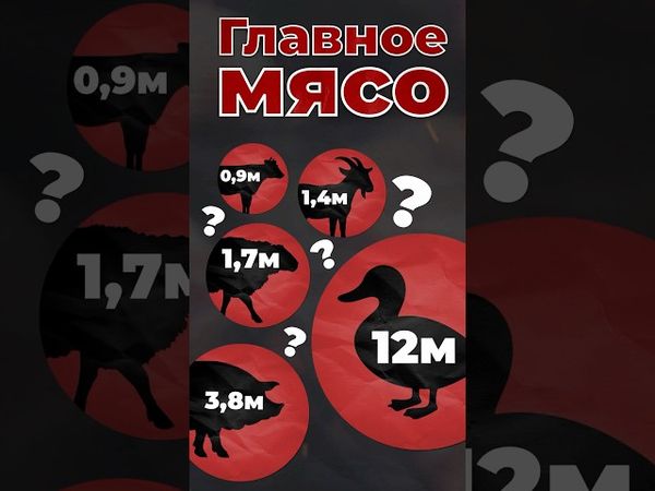 Главное мясо человечества #страны #планета #еда