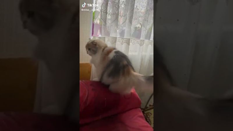 Как там прыгать? Какая кнопка?