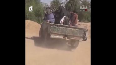 إصابة شيخ قبلي برصاص الحوثيين في الجوف