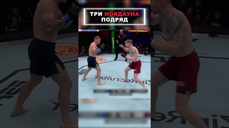БОСС UFC В ШОКЕ! 💥