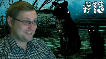 The Witcher 3: Hearts of Stone ► ПРЯМ ЗООПАРК ► #13
