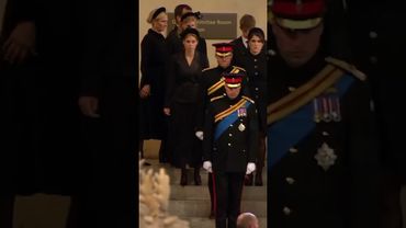 queen elizabeth's 8 grandchildren at her funeral #queenelizabeth#royalty#crown#edit#shorts