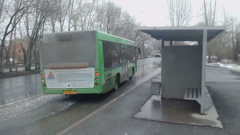 Within the WoodsBase  — Ram Saimi - 1978