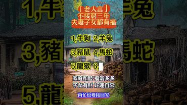 【老人言】再忙也要接回家 ！#十二生肖 #運勢 #生肖運勢 #玄學