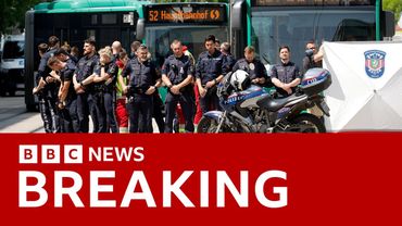 Austrian school gunman who killed nine was 21-year-old former pupil, officials say | BBC News