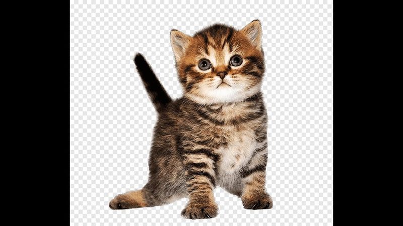 Играем и молимся, верующим не входить.