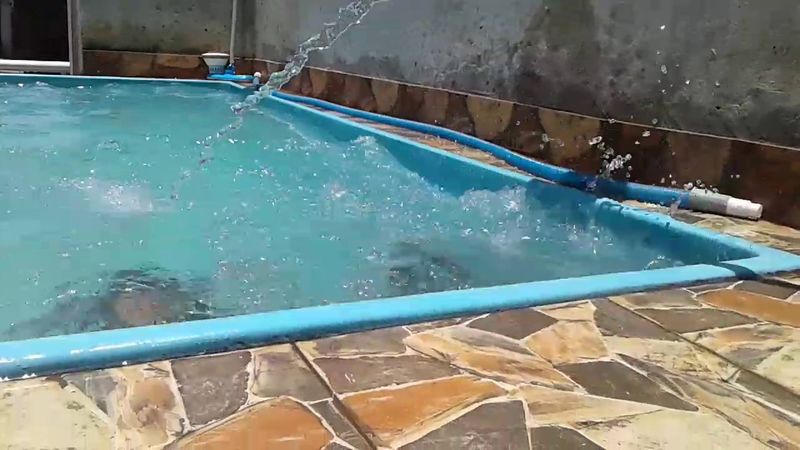 Manu e a prima brincando na piscina.