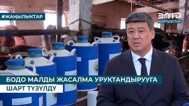 БОДО МАЛДЫ ЖАСАЛМА УРУКТАНДЫРУУГА ШАРТ ТҮЗҮЛДҮ