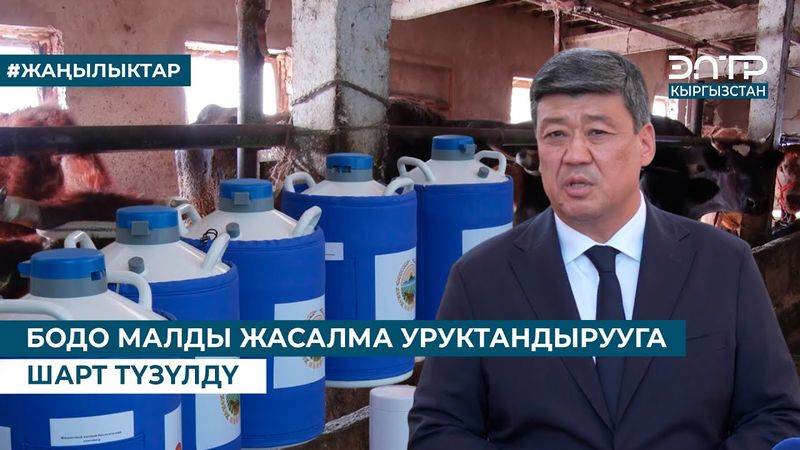 БОДО МАЛДЫ ЖАСАЛМА УРУКТАНДЫРУУГА ШАРТ ТҮЗҮЛДҮ