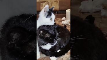 25 октября 2025 г.