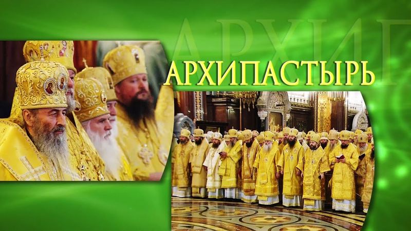Архипастырь 29 июня 2025 года