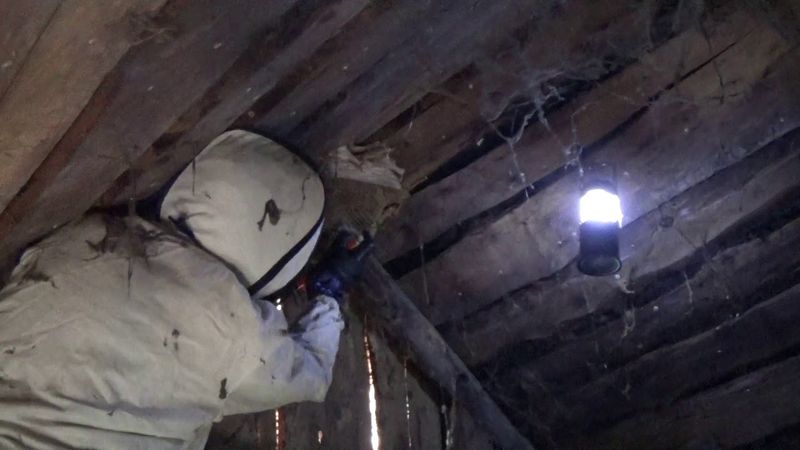 Ужасные Шершни. Как Уничтожить Шершней на Чердаке?? ЧАСТЬ-01.