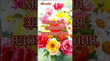 С ДОБРЫМ УТРЕЧКОМ! ПРЕКРАСНОГО ДЕНЁЧКА!#сдобрымутром #доброеутро #доброгоутраихорошегодня #shorts