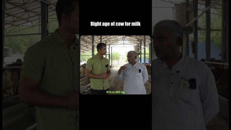 एक गाय कितना दूध देती है? 🐄💧 | Agritalk by Abhinav Roy | #shorts #farming