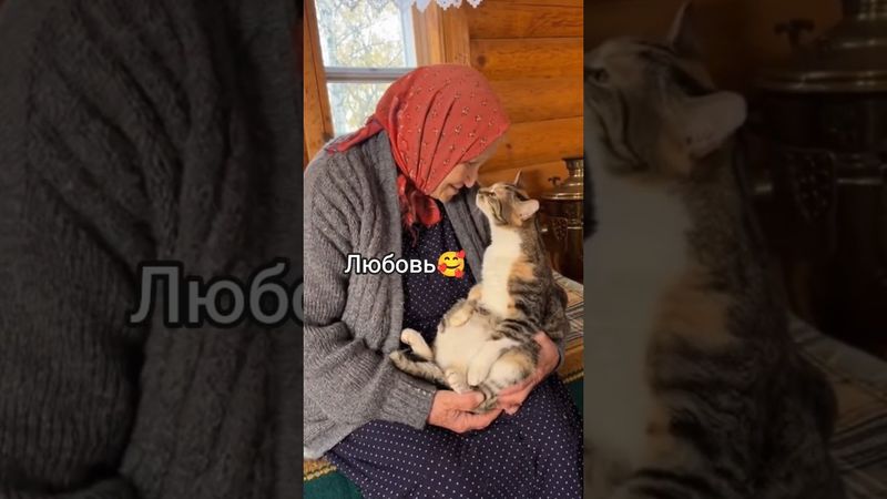 Создавать такие видео легко в ТГботе. Ссылка в описании и в коммах.#бабкивинтернете #душевно