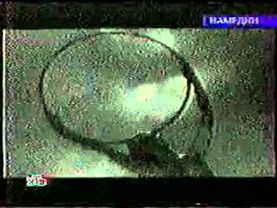 2001 11 хх Намедни Das Ist Fantastisch NTV, Russia WMV 27 4 mb
