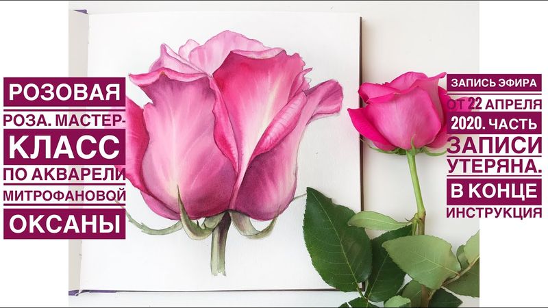Розовая Роза. Урок по рисованию акварелью Митрофановой Оксаны. 22.04.2020
