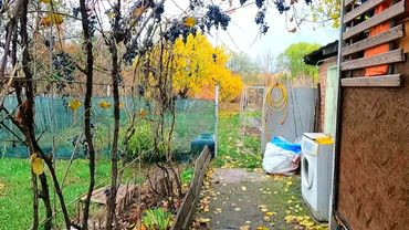 #Славянск. 1 ноября 2025г. Вечер. Отчёт за день))