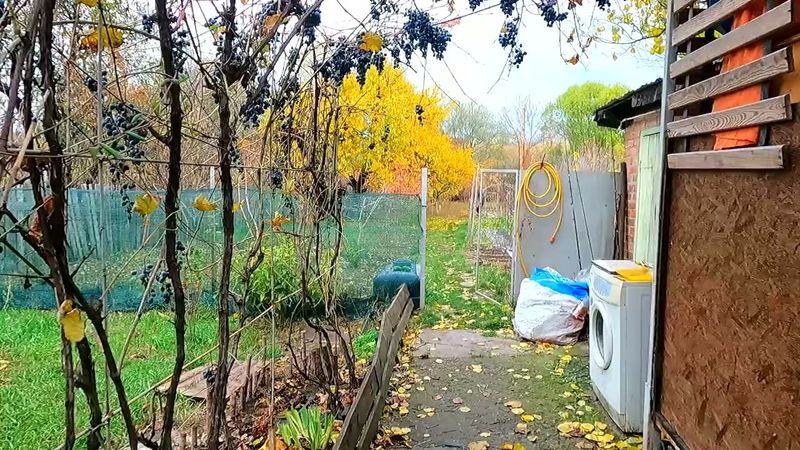 #Славянск. 1 ноября 2025г. Вечер. Отчёт за день))