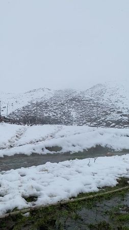 TikTok video #7599744288540462354