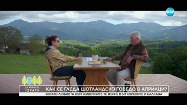 Да хванеш гората (01.06.2025)