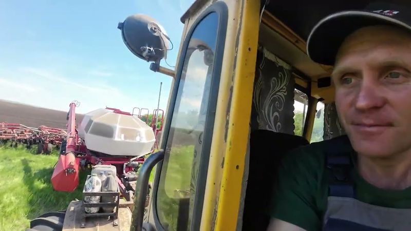 Трактор Кировец. Посев нута.