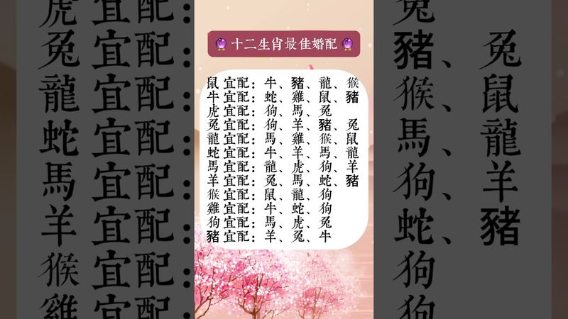 婚姻幸福與否，生肖早就註定好了！#十二生肖 #婚姻配對 #生肖婚配 #命中注定 #婚姻幸福 #生肖愛情#屬相配對 #民俗智慧 #姻緣天定
