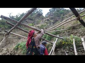Great struggle in rainy season || Happy life videos EP 116 || Village life