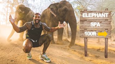 Tour Privado de um Santuário de Elefantes Indianos Bilionários em Vantara (emocionante)