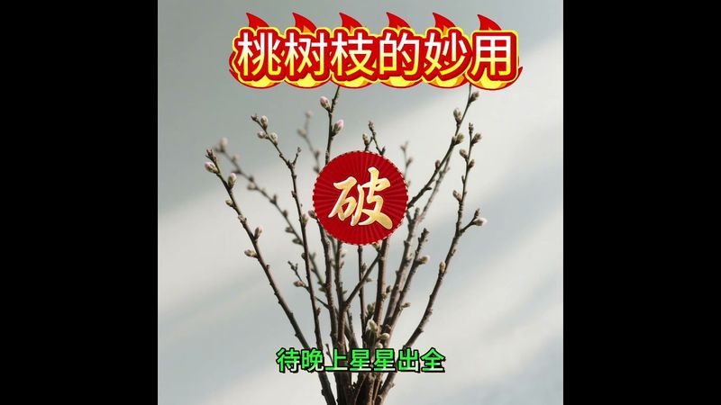 《民间秘法》桃树枝的妙用！接了！转发！功德无量！#国学文化 #民风民俗 #道家文化 #祝由術 #佛教文化 #转运 #发财 #祛病 #健康 #驱邪