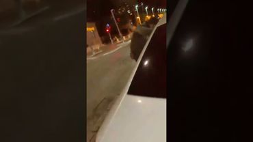 תיעוד- שוטרים מבצעים מעצר חשודים בירי בחיפה