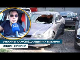 УНААНЫ КАМСЫЗДАНДЫРУУ БОЮНЧА ЭЛДИН ПИКИРИ