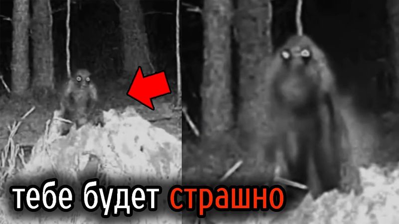 Самые Ужасные Видео со Всего Мира #59