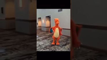 Does he do any tricks?