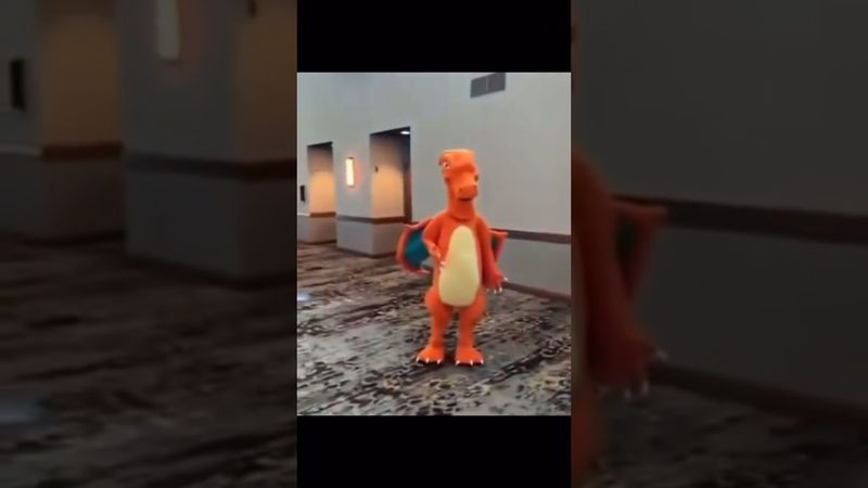 Does he do any tricks?