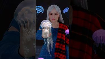 WHERE HAVE YOU BEEN на русском💔 Артикул на книгу WB: #604358247