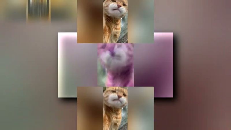 запрошено: PLPMV Widescreen Version (OICF) Scan