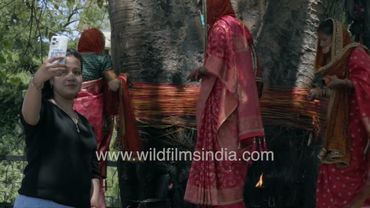 Women perform Vat Savitri puja at ancient Katarmal Sun Temple in Kumaon, Uttarakhand