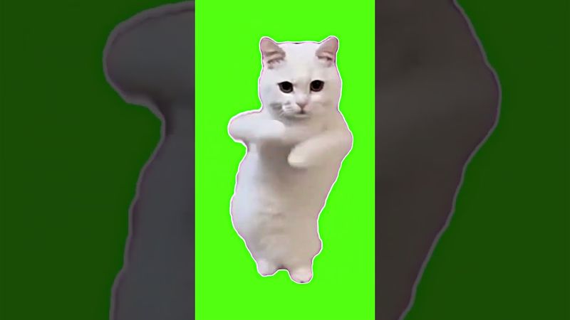 Dancing Cat (Green Screen) | Unisoftex